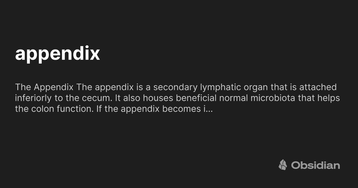 appendix - Obsidian Publish