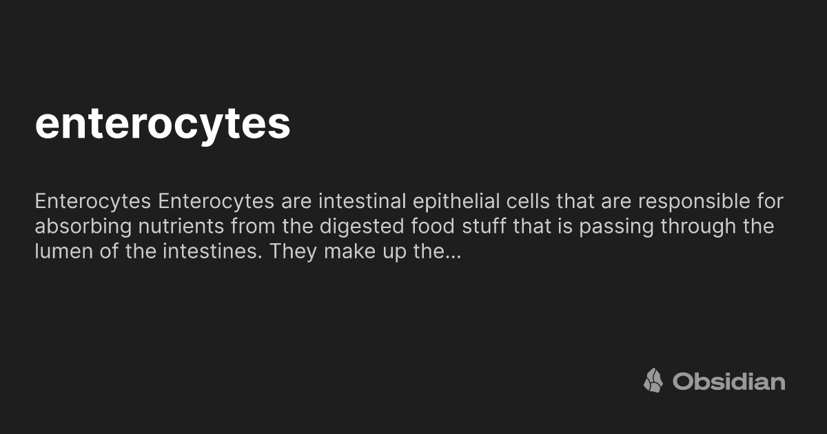 enterocytes - Obsidian Publish